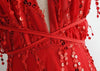 Vestido de Tule Bordado Longo para Festa